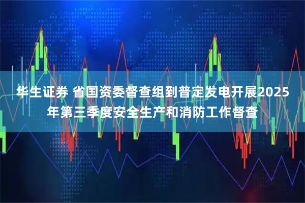 华生证券 省国资委督查组到普定发电开展2025年第三季度安全生产和消防工作督查