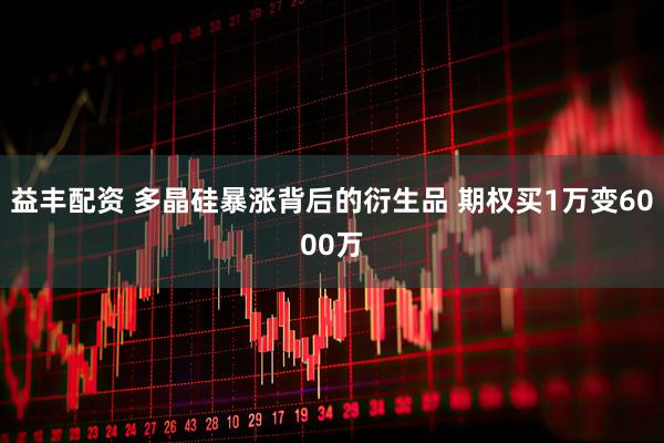益丰配资 多晶硅暴涨背后的衍生品 期权买1万变6000万