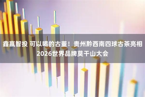 鑫赢智投 可以喝的古董！贵州黔西南四球古茶亮相2026世界品牌莫干山大会