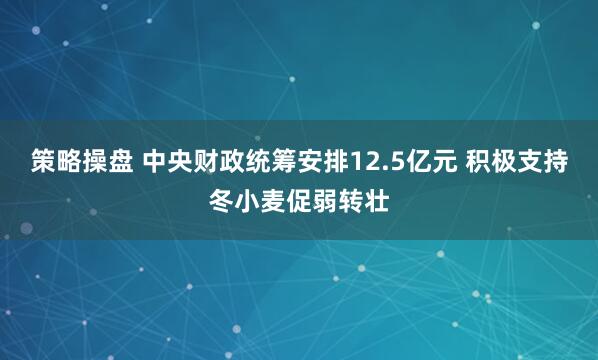 策略操盘 中央财政统筹安排12.5亿元 积极支持冬小麦促弱转壮