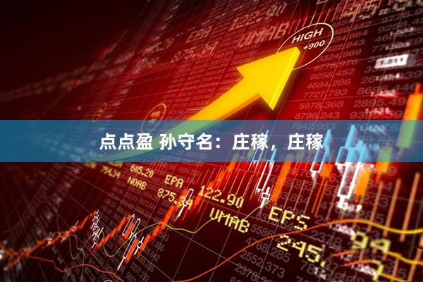 点点盈 孙守名：庄稼，庄稼